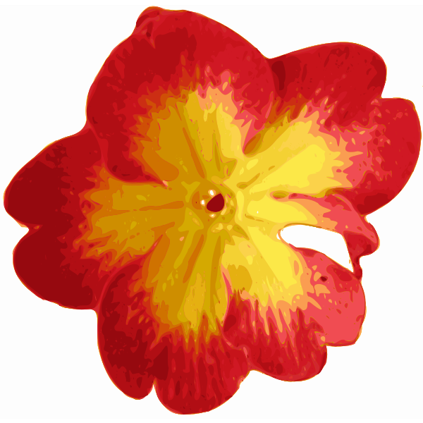 Traced vector flower