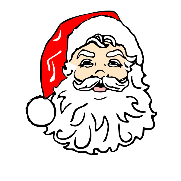 Santa with beard vector image