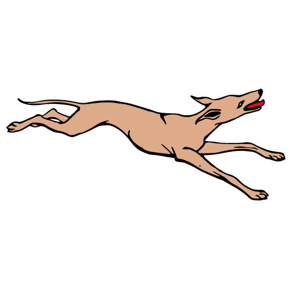 A running dog 3