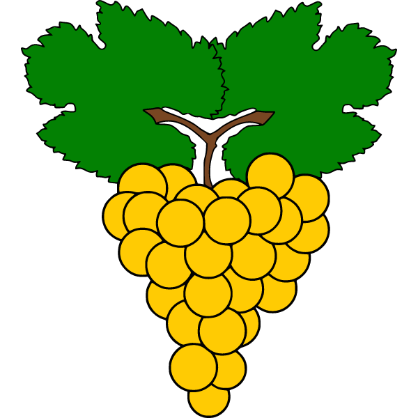 Grapes 24