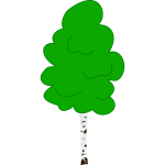 Vector graphics of young birch in color