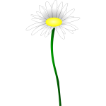 Simple color illustration of a simple daisy