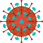 Flu Virus