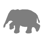 Elephant refixed