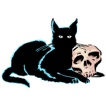 Skull and black cat