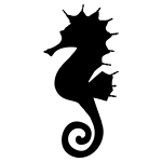 Seahorse-1574070834