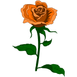 Rose 27 (colour 4)