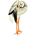 Stork 3