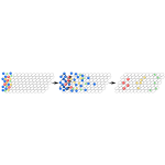 Chromatography im Teilchenmodell