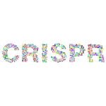 CRISPR III Prismatic