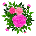 roses 130120191