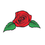 Red rose flower