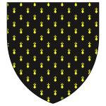 Black shield with yellow pattern