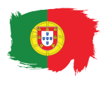 Painted flag of Portugal