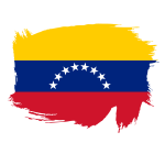 Painted flag of Venezuela