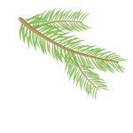 Spruce branch plant