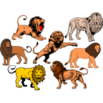 Seven lions