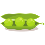 Green beans vegetable