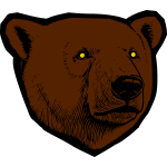 Bear 23