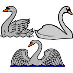 Swans-1719764222