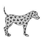 Dalmatian 2