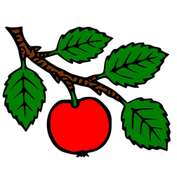 Apple VI