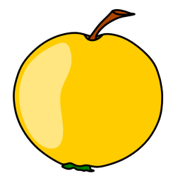 Apple XI