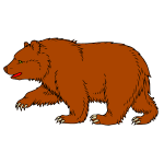 Bear 12a