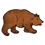 Bear 1