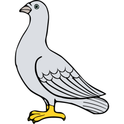 Bird 18