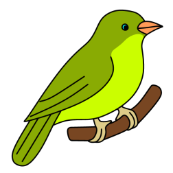 Bird 23