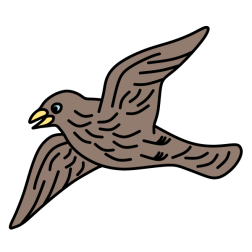 Bird 32