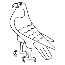 Bird 37