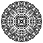 Border 41 Derivative 5