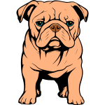 Bulldog-1721739709