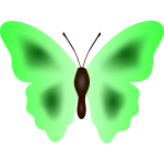 Butterfly in green color
