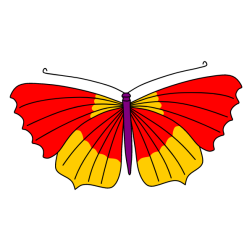Butterfly XVIII