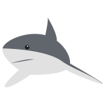Cartoon shark image