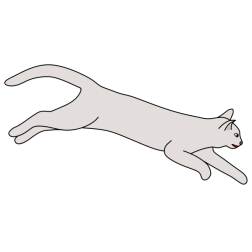 Cat hunting for a mouse