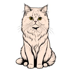 Cat 10