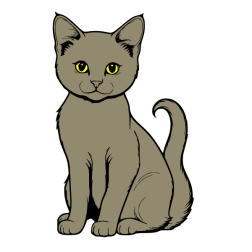 Cat 11