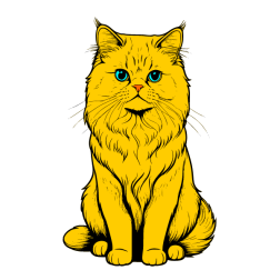 Cat 12