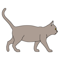 Cat 15