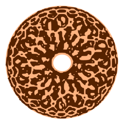 Chocolate cake I