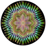 Chromatic Symmetric Mandala
