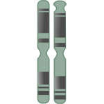 Chromosome