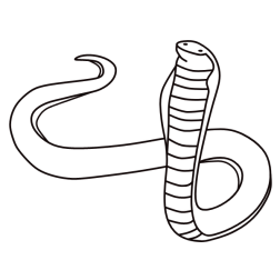 Cobra 6