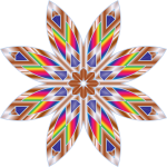 Colorful Flower Star