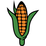 Corn4