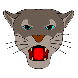 Cougar 2